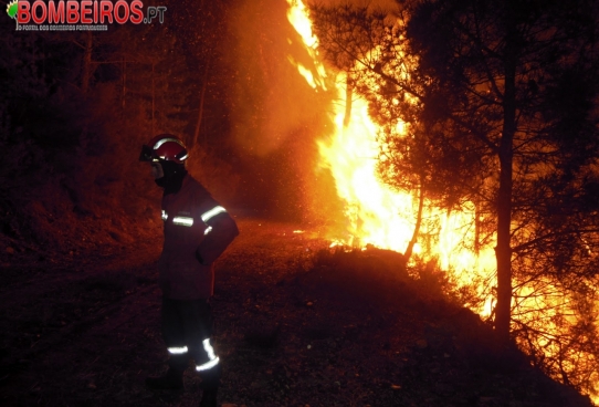 (Foto Bombeiros.pt)