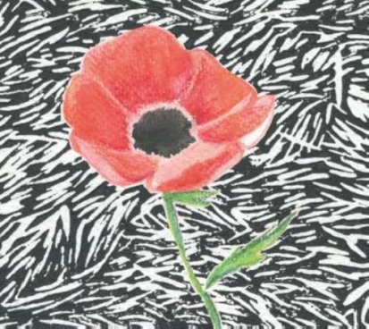 Tekening uit het boek «Hoe men van een klaproos een monster maakt»