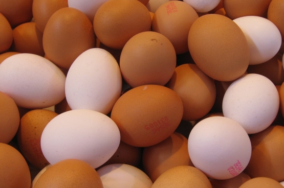 Er zijn voldoende aanwijzingen dat fipronil al maanden, of zelfs langer, in onze voedselketen zit. (Foto 16:9clue / Flickr)