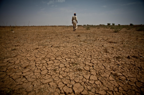 De verwoestijning slaat hard toe. En als het regent, vallen er zulke hoeveelheden dat zaad en landbouwgrond wegspoelen. (Foto Oxfam International)