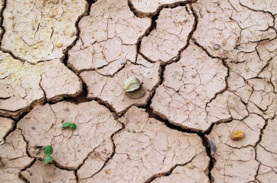 Water wordt stilaan een kostbaar goed in onze contreien 