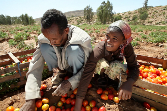 Oxfam wil eerlijke en duurzame voedselsystemen, waarin de belangen van producenten en werkers voorop staan. (Foto World Bank Photo Collection, Flickr)